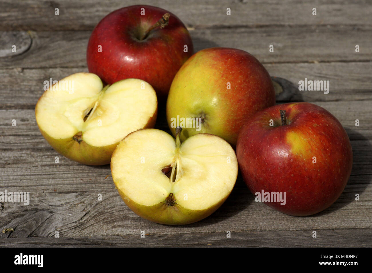 Malus domestica Natyra, Sort of Apples Stock Photo