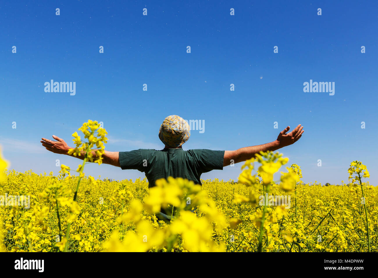 Man field hi-res stock photography and images - Alamy