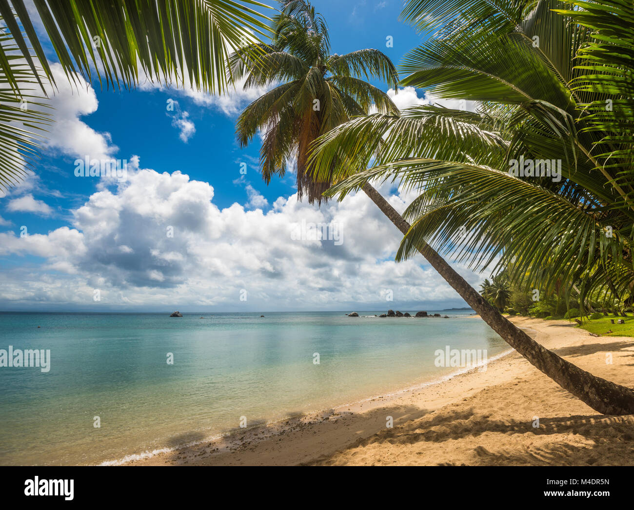 tropical island - sea, sky and palm trees Stock Photo