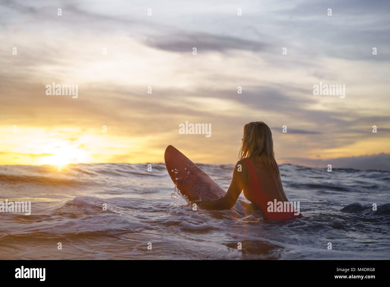 Vibrant Summer Surfboards A Colorful Concept For A Beach Getaway Captured  In Extreme Closeup On An Isolated Coastal Landscape Background, Surfer, Surfing  Surfer, Surf Background Image And Wallpaper for Free Download