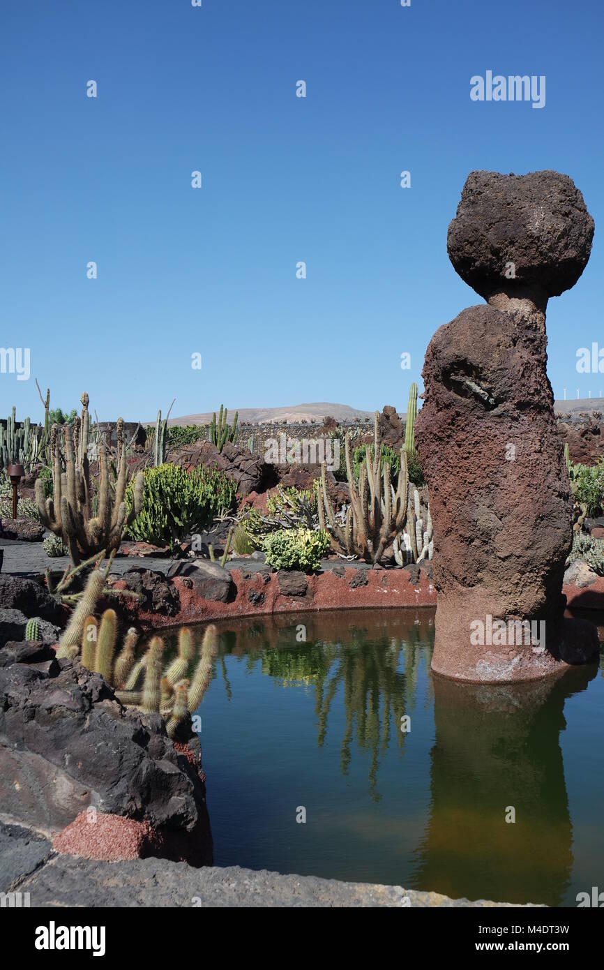 Cactus garden on lanzarote Stock Photo