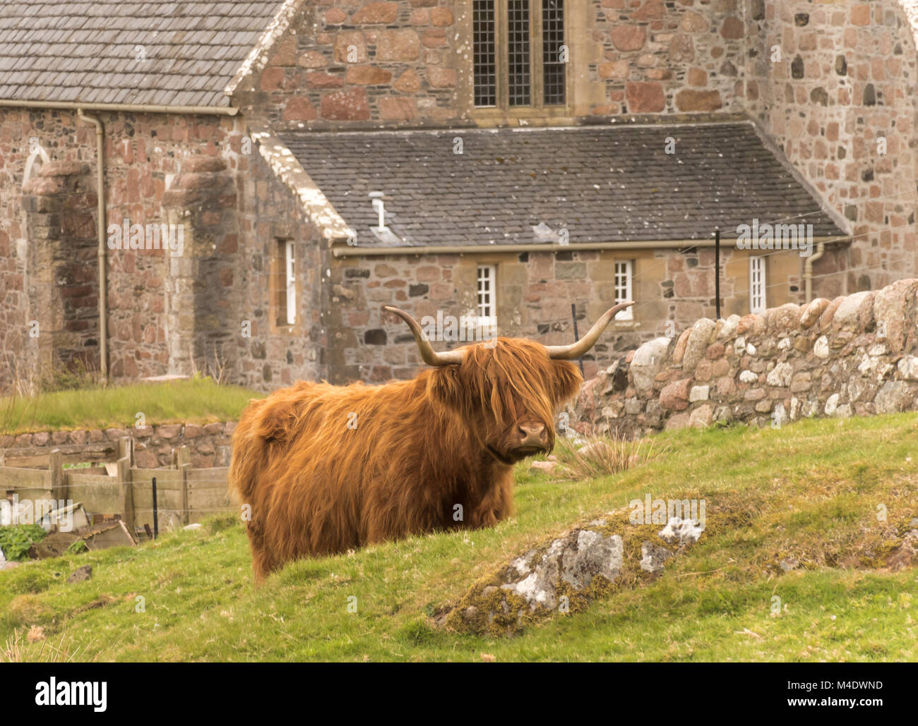 The Abbey on the Isle of Iona Stock Photo