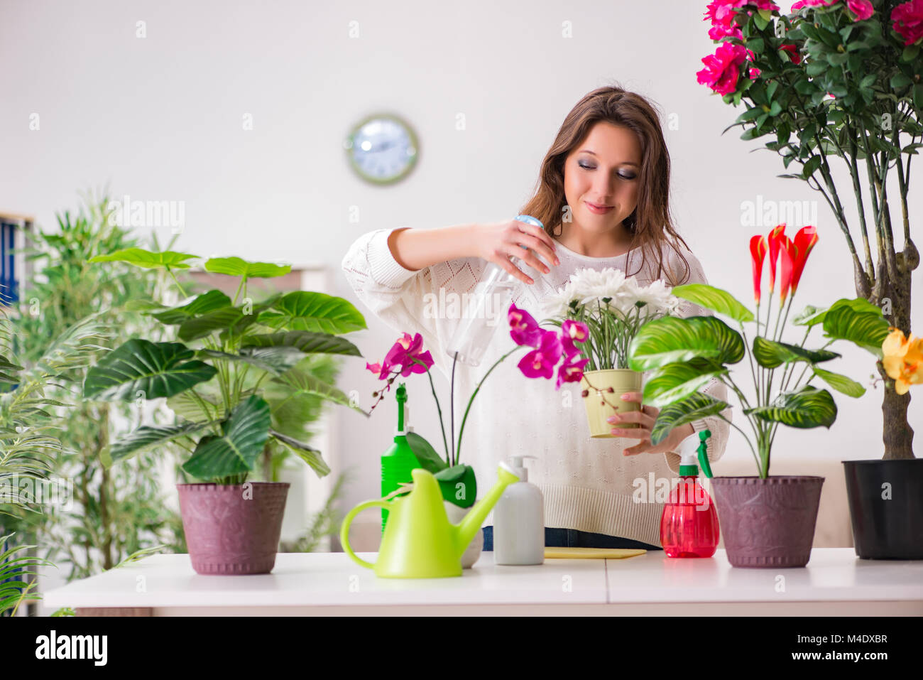 Young woman looking after plants at home Stock Photo - Alamy