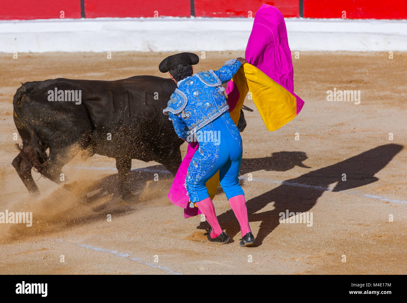 Matador and bull in tourada bullfight - Moita Lisbon Portugal Stock Photo