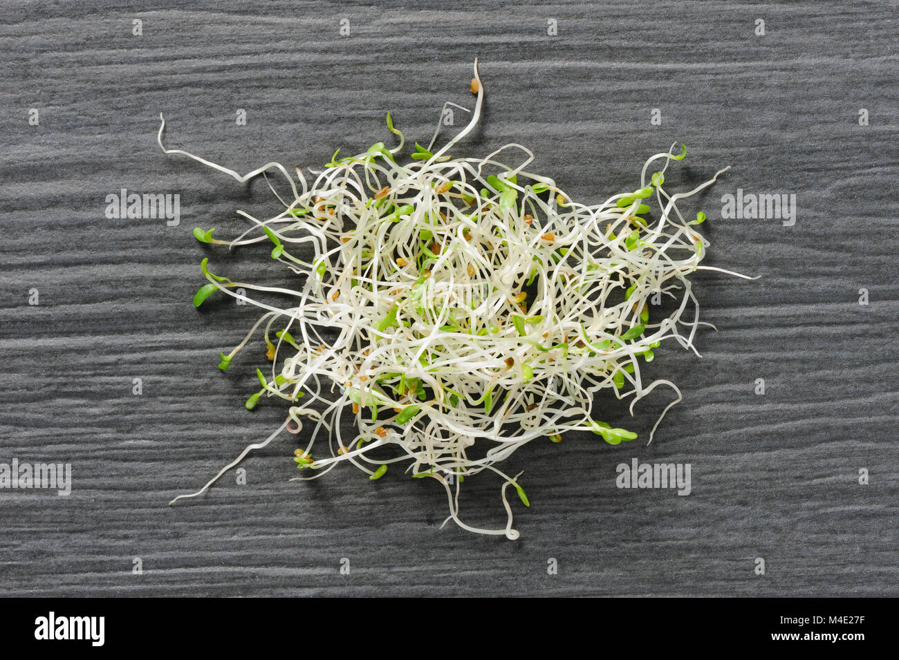 Sprouted alfalfa seeds on a dsrk stone background Stock Photo