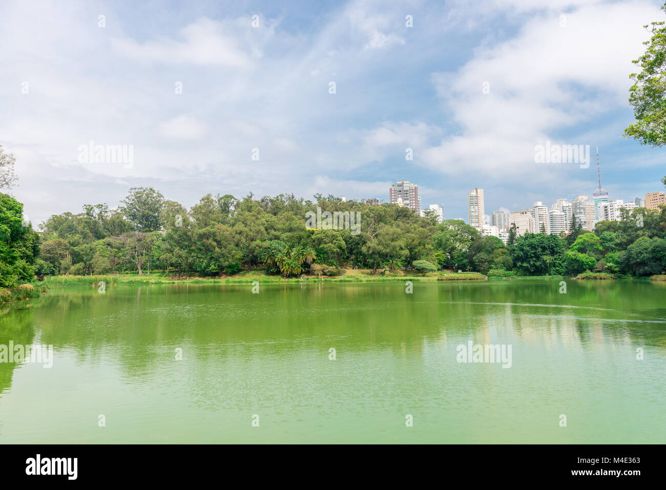 The lake in the Aclimacao Park in Sao Paulo Stock Photo