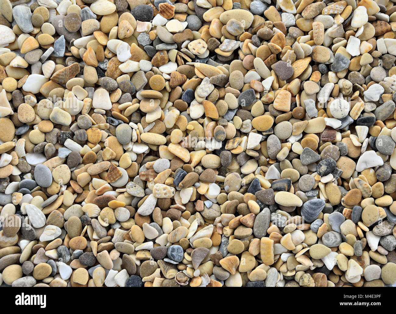Colorful Pebbles of Sea coast Stock Photo