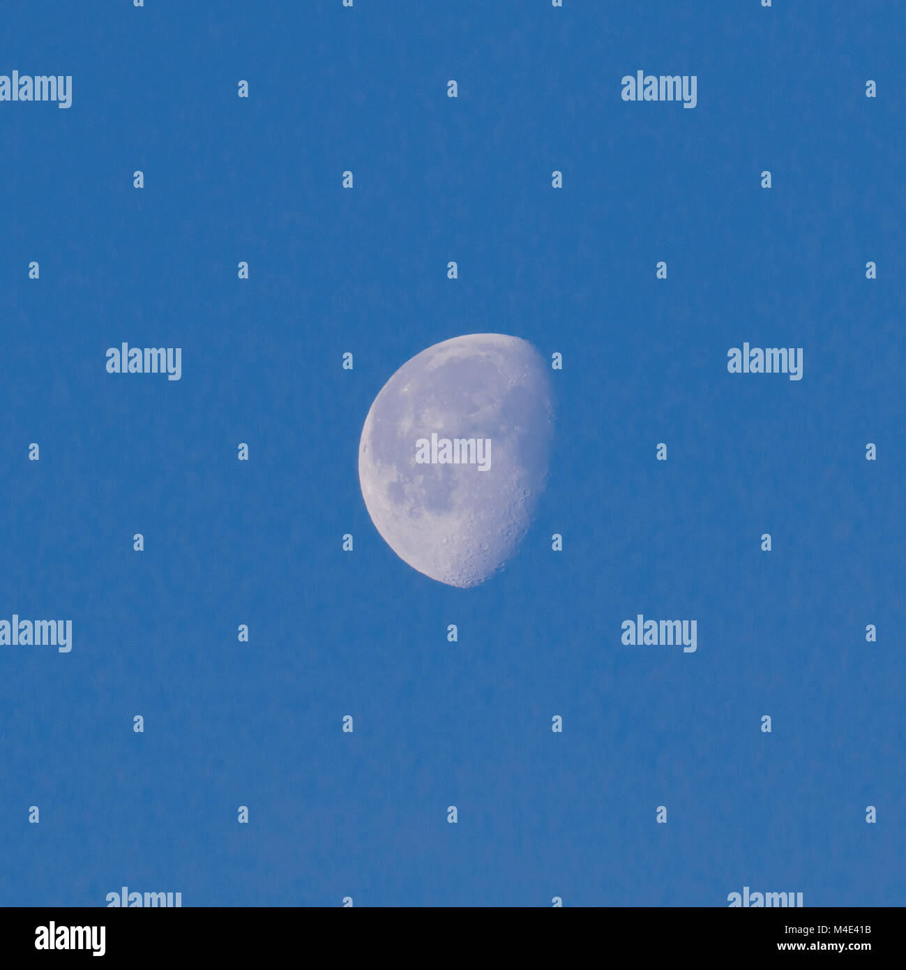 Waxing Gibbous Moon in blue sky showing craters Stock Photo Alamy