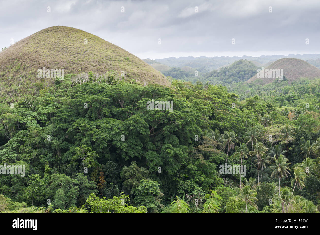 The Chocolate Hills Stock Photo Alamy