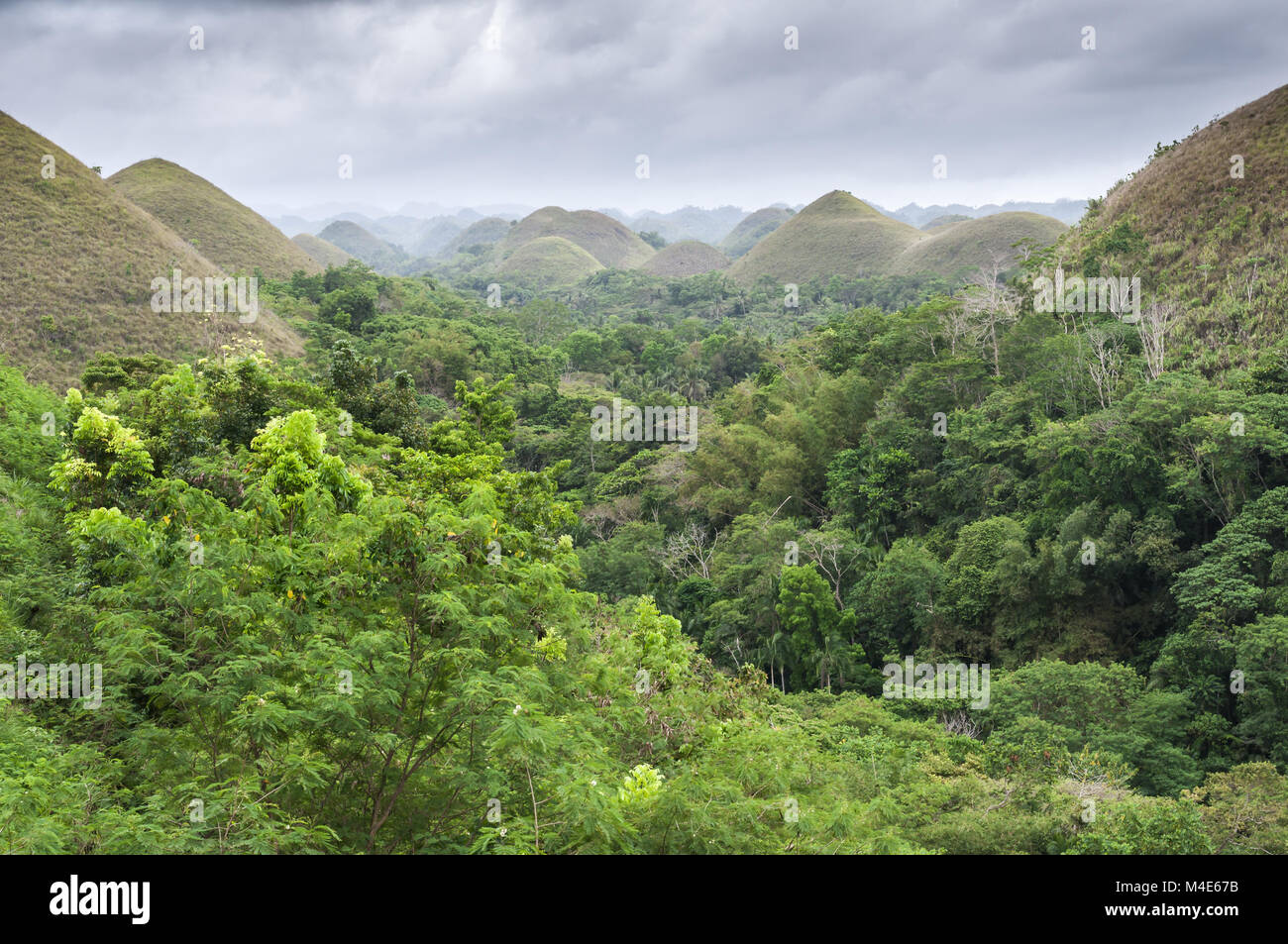 The Chocolate Hills Stock Photo Alamy