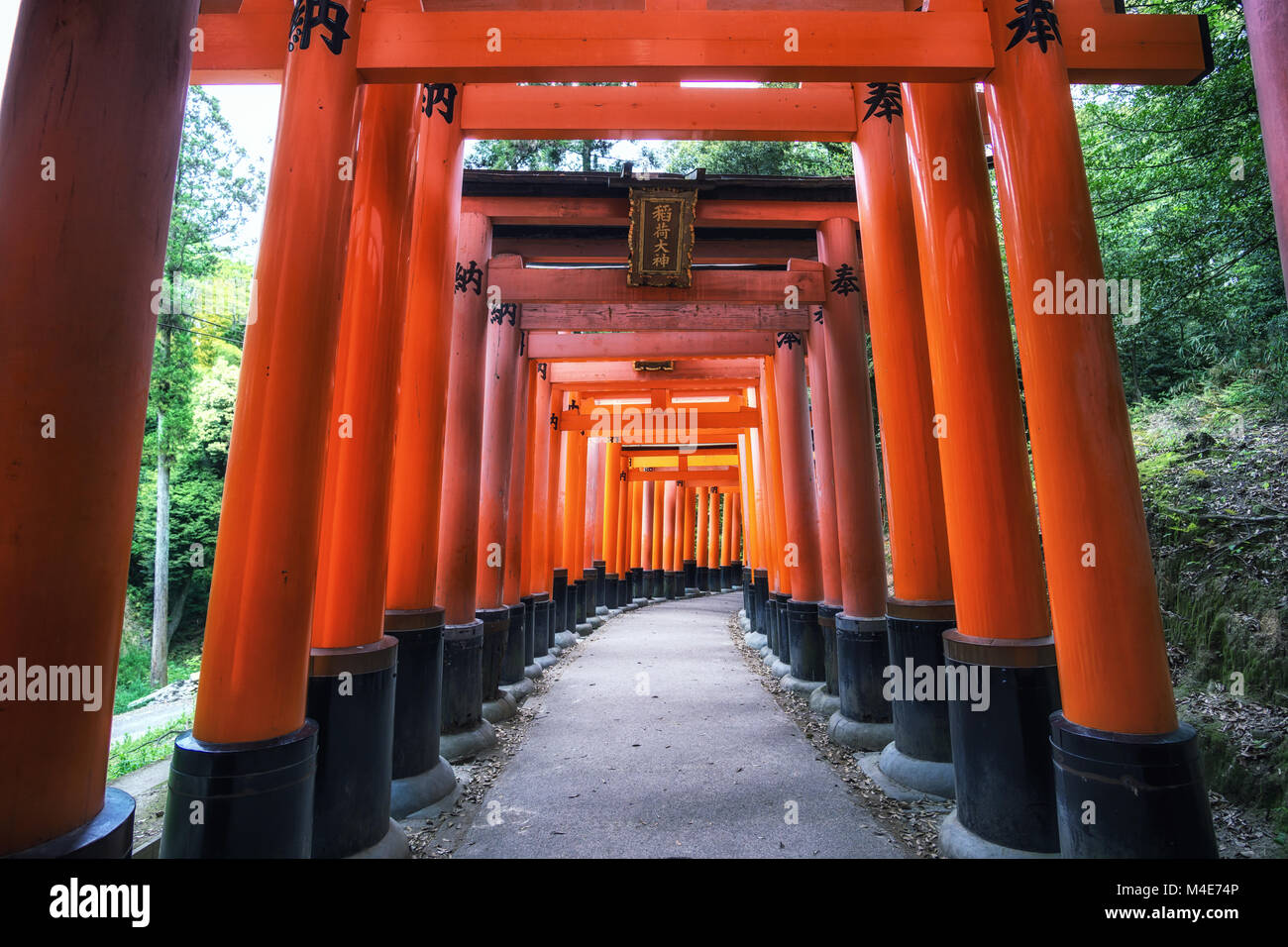 Fushini Inari fushimi inari taisha gates Stock Photo - Alamy