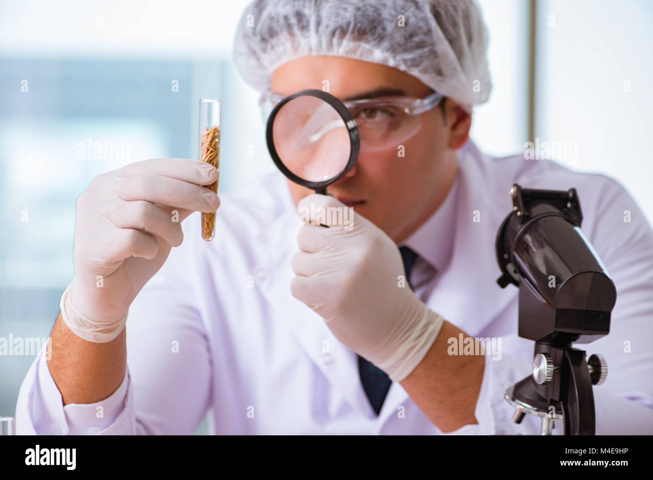 Nutrition expert testing food products in lab Stock Photo Alamy
