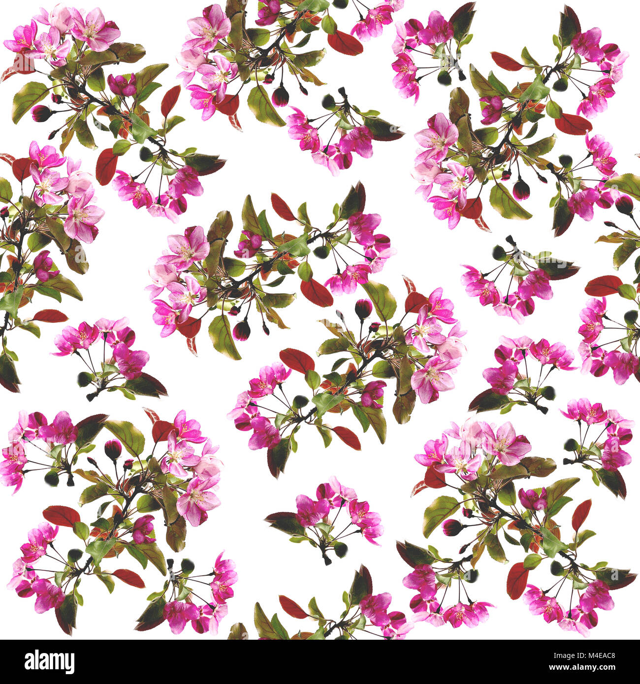 Floral seamless pattern - spring background Stock Photo