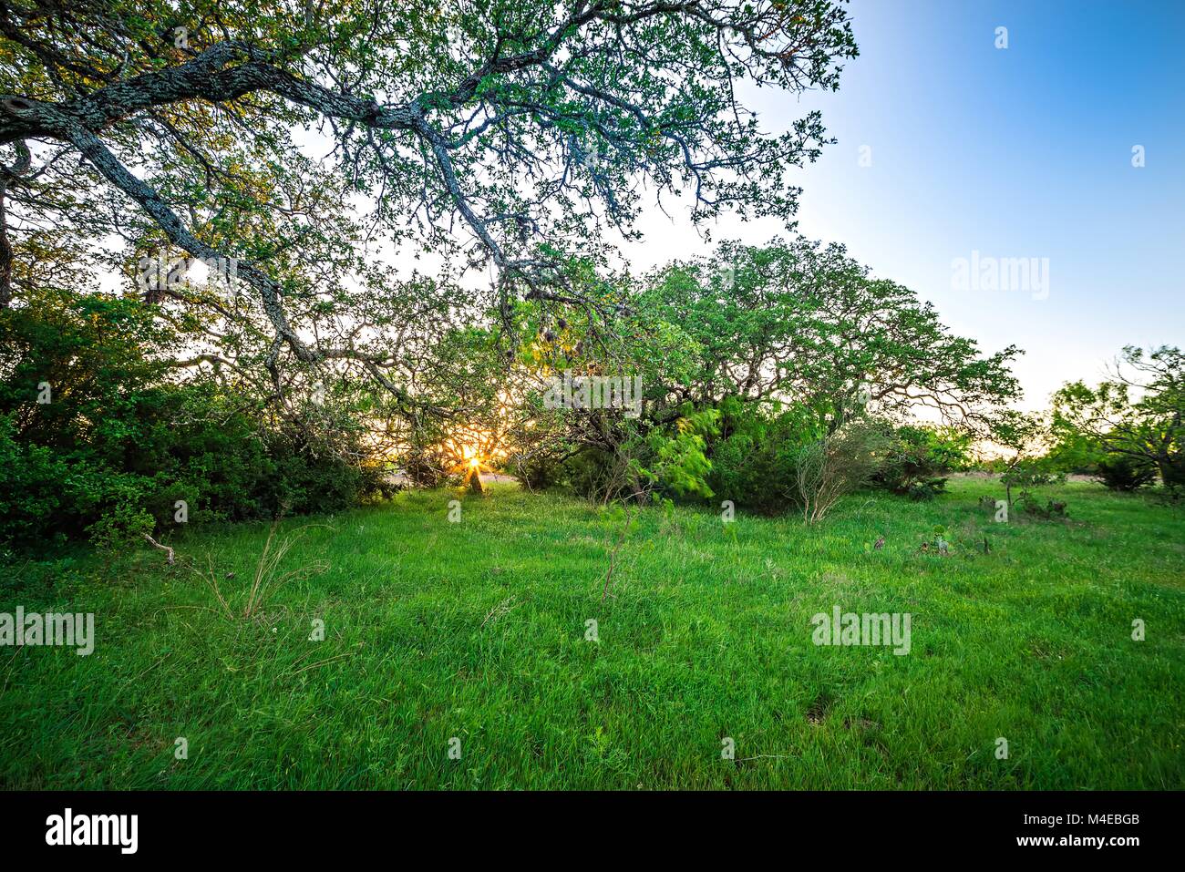 landscapes around willow city loop texas at sunset Stock Photo