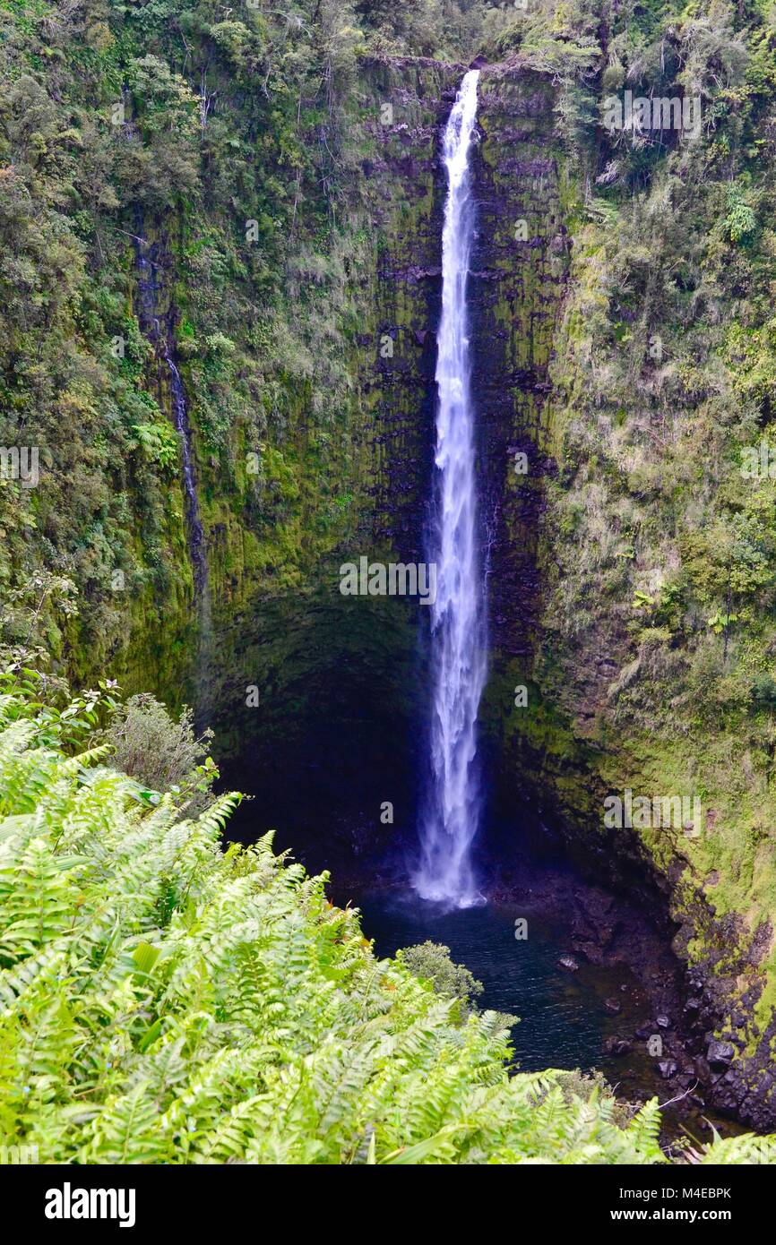 Akaka Falls, Hilo, Hawaii Stock Photo