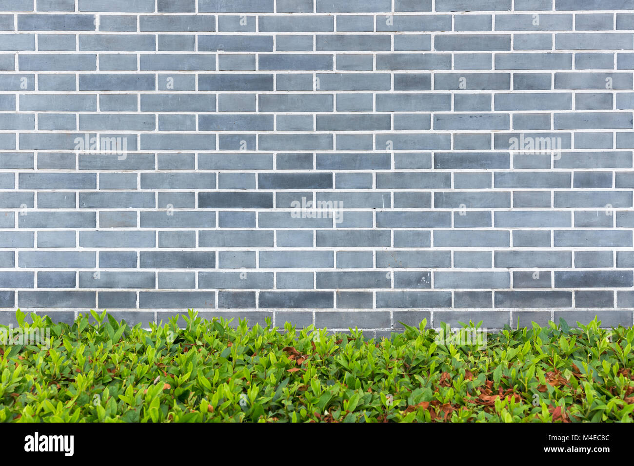 traditional brick wall background Stock Photo