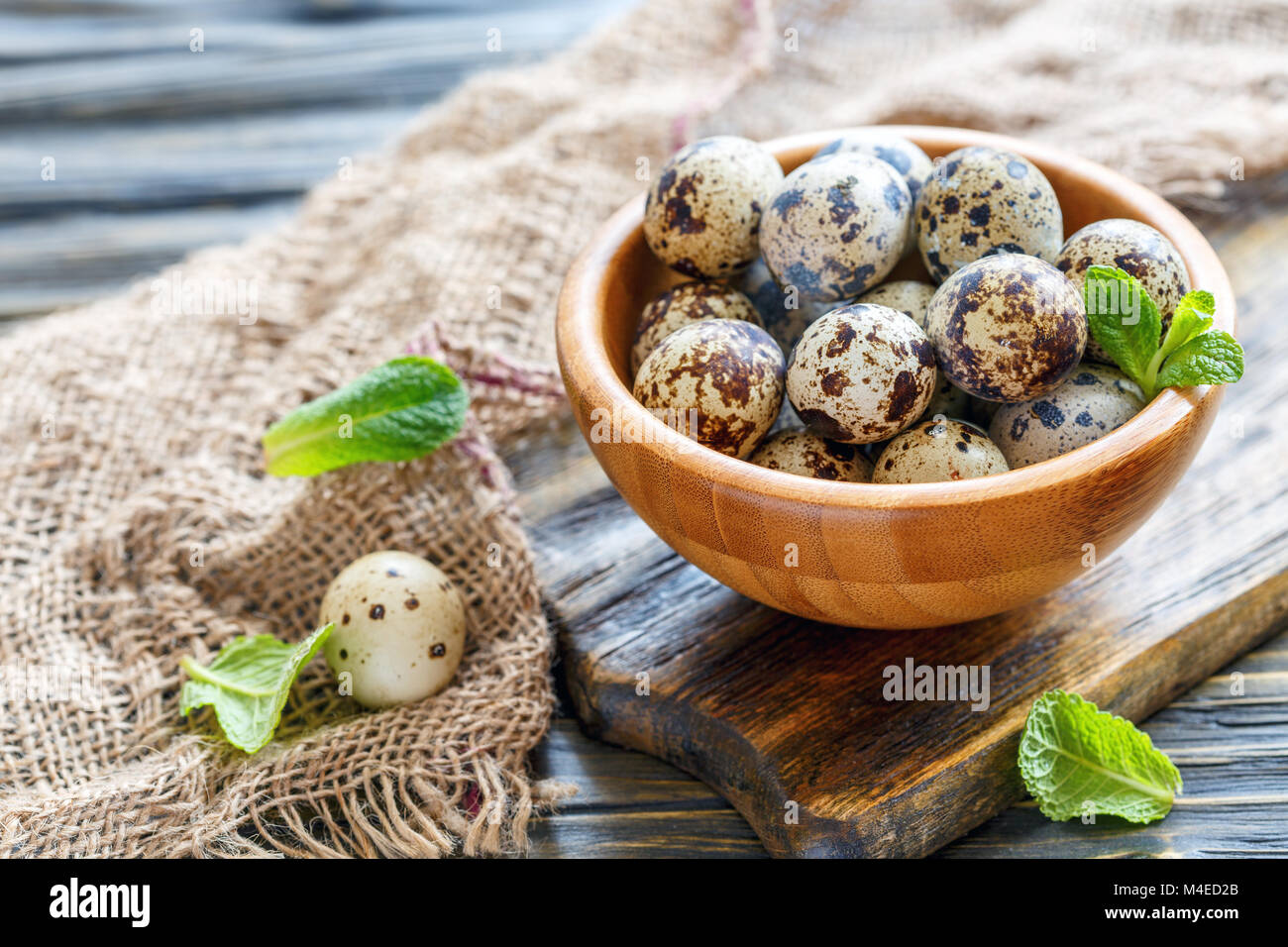 Wooden bowl with speckled quail eggs. Stock Photo