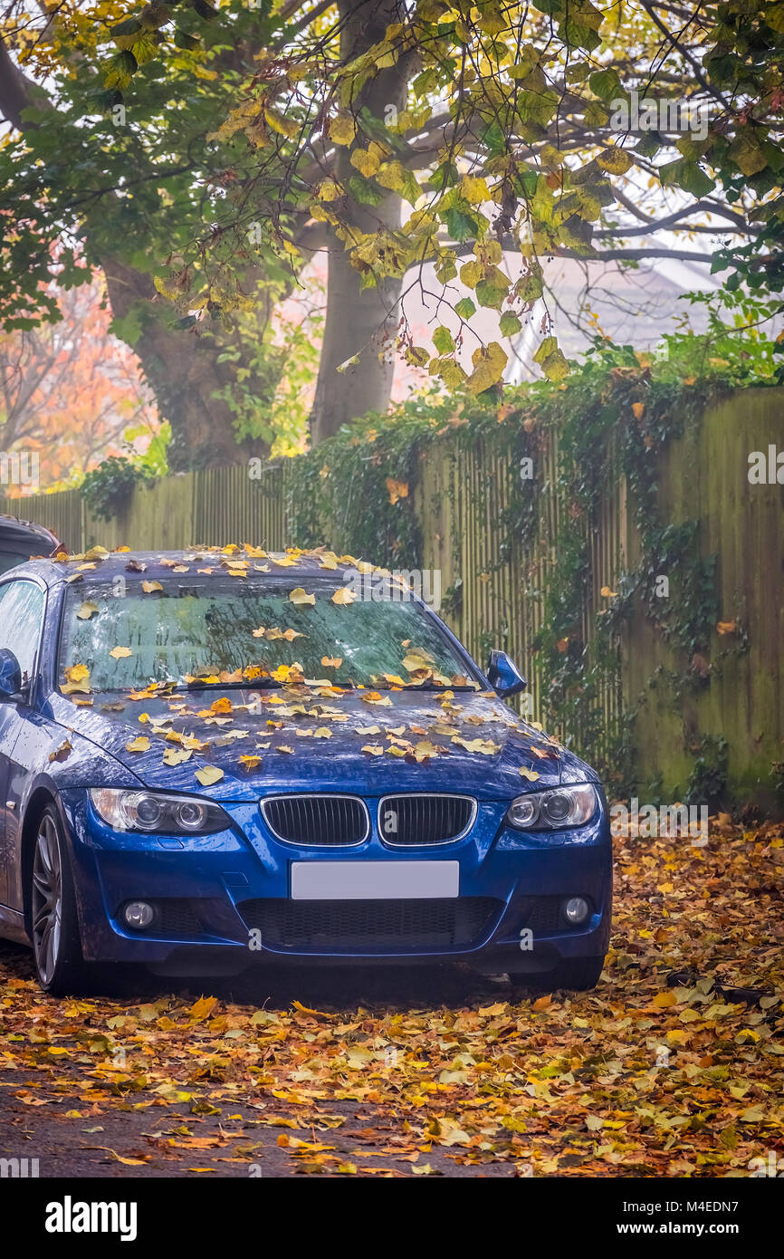 Car hood covered in fallen leaves Stock Photo Alamy
