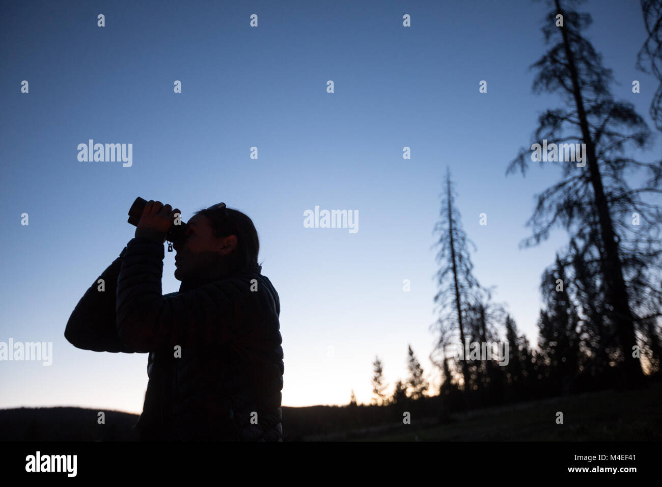 Silhouette of woman looking through binoculars, Wyoming, United States Stock Photo