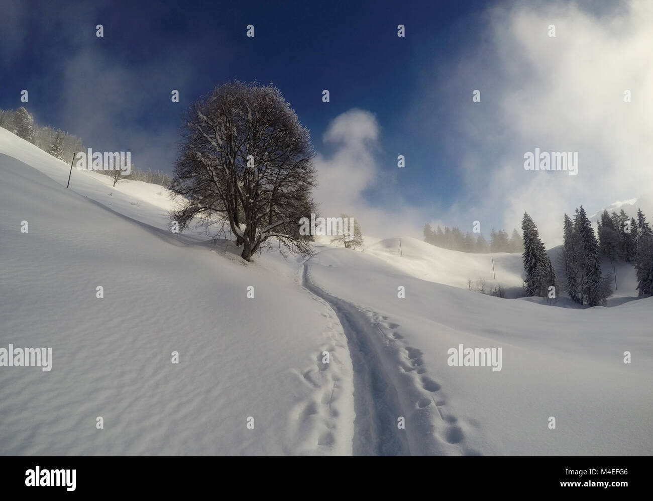 Path through the snow, Ibergeregg, Schwyz, Switzlerand Stock Photo - Alamy