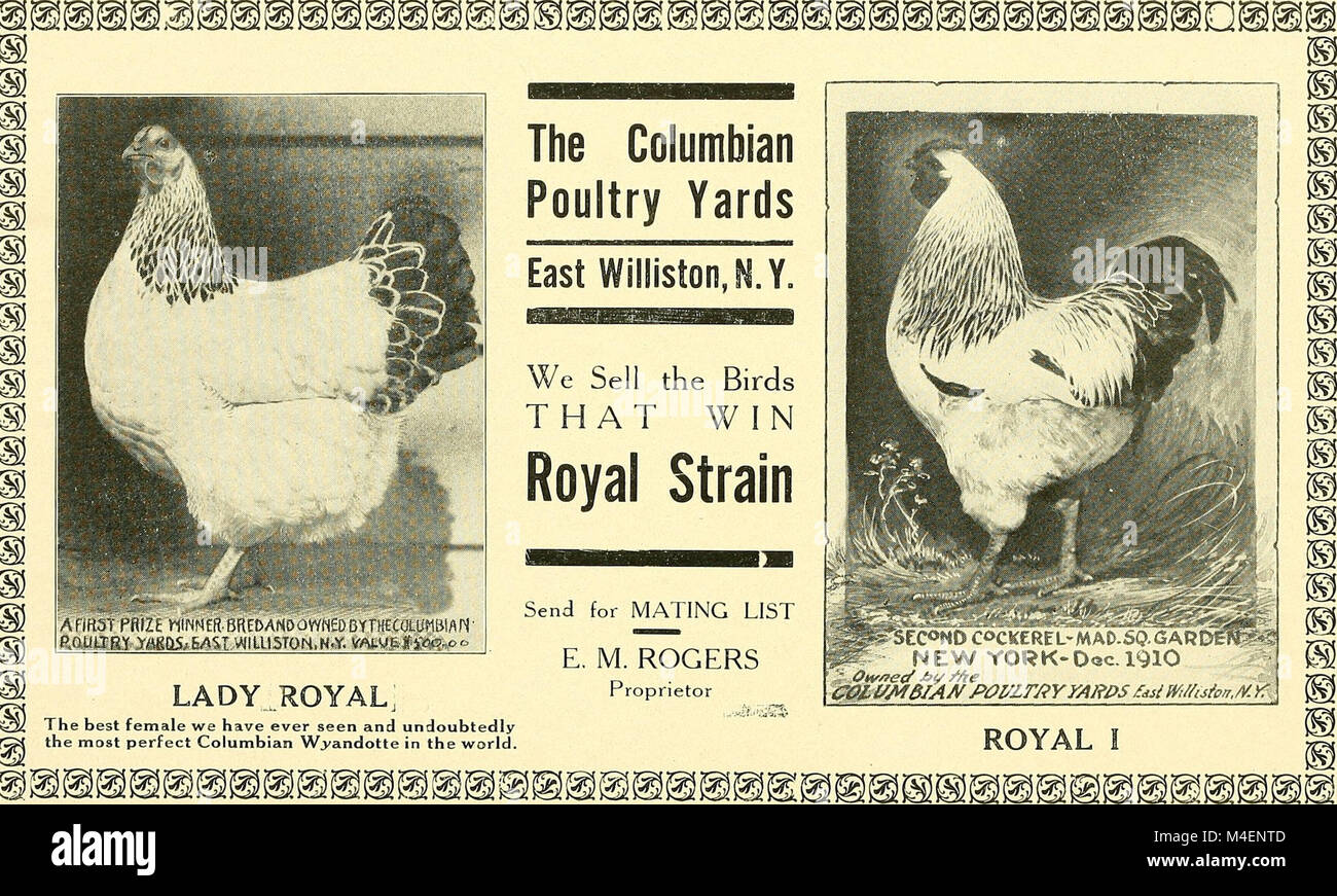1909 poultry ribbon Ontario Provincial Winter Fair Guelph 1909 poultry ribbon Ontario Provincial Winter Fair Guelph