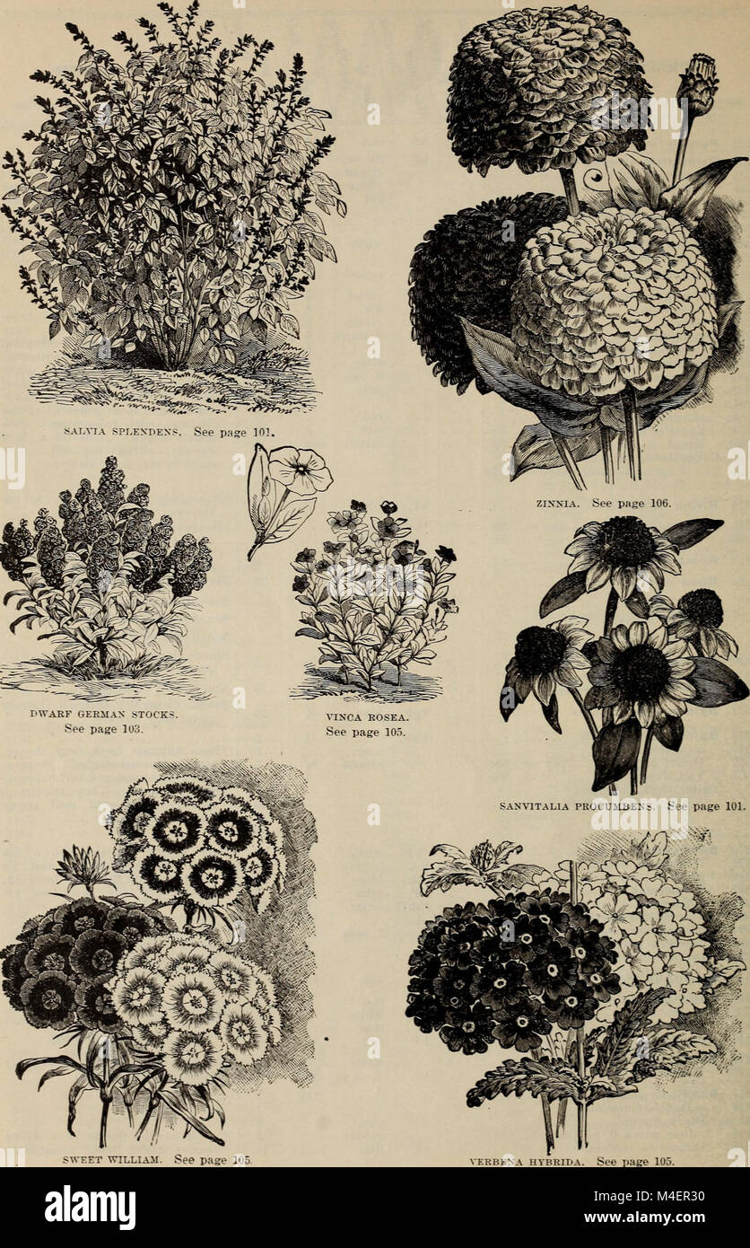 This 1899 catalogue describes the largest seed collection in the world