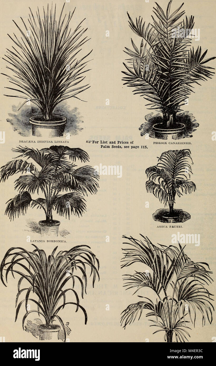 This 1898 catalogue offers a detailed description of the world's