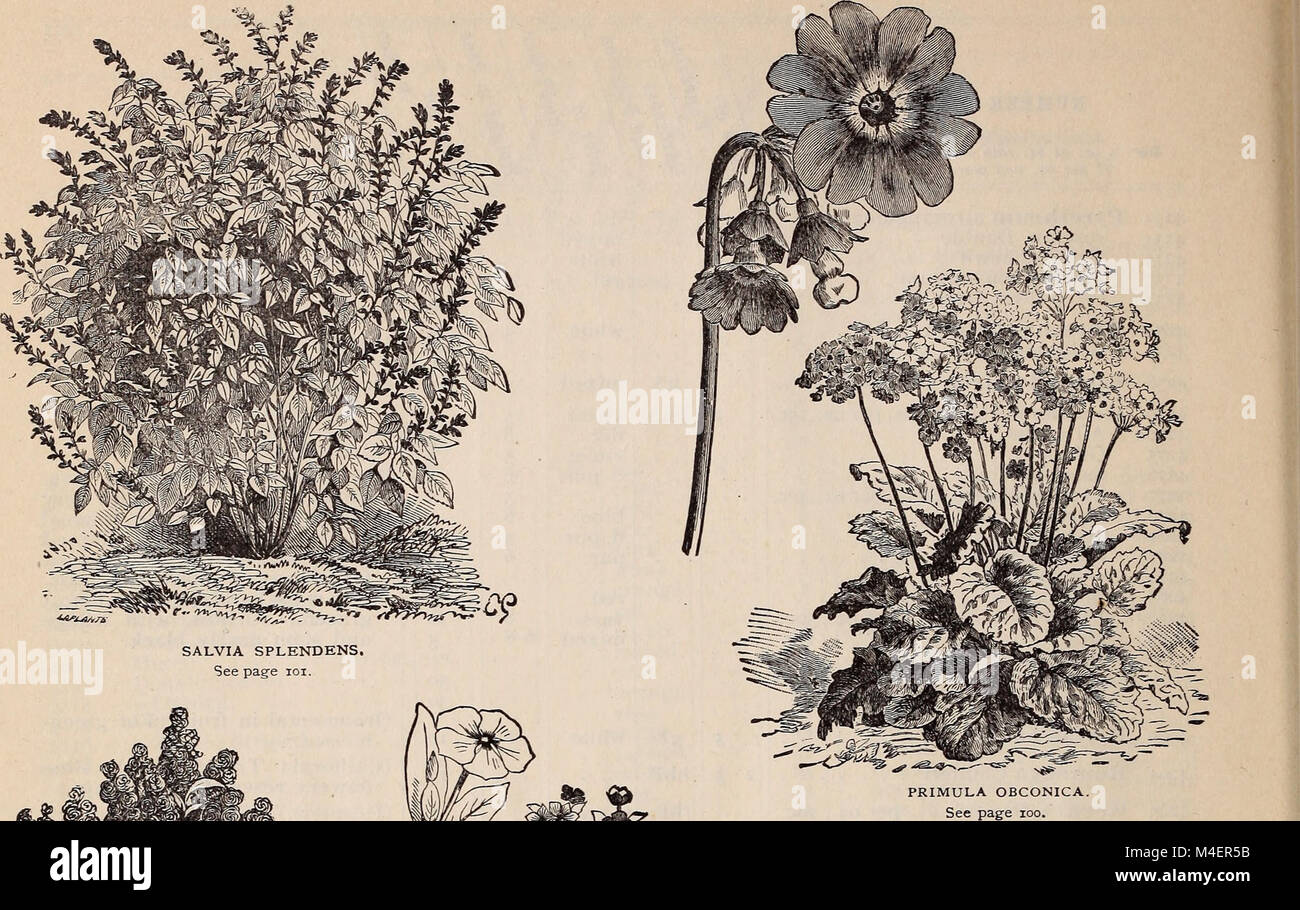 This 1895 catalogue presents the largest collection of seeds in the