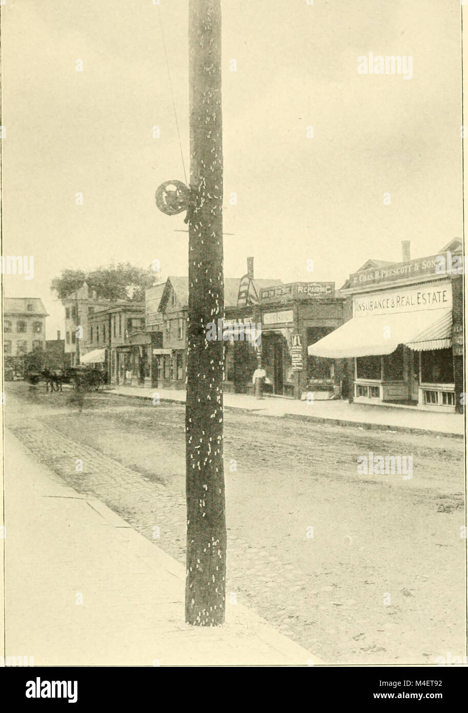 This 1906 report presents annual statistics and analyses of various ...