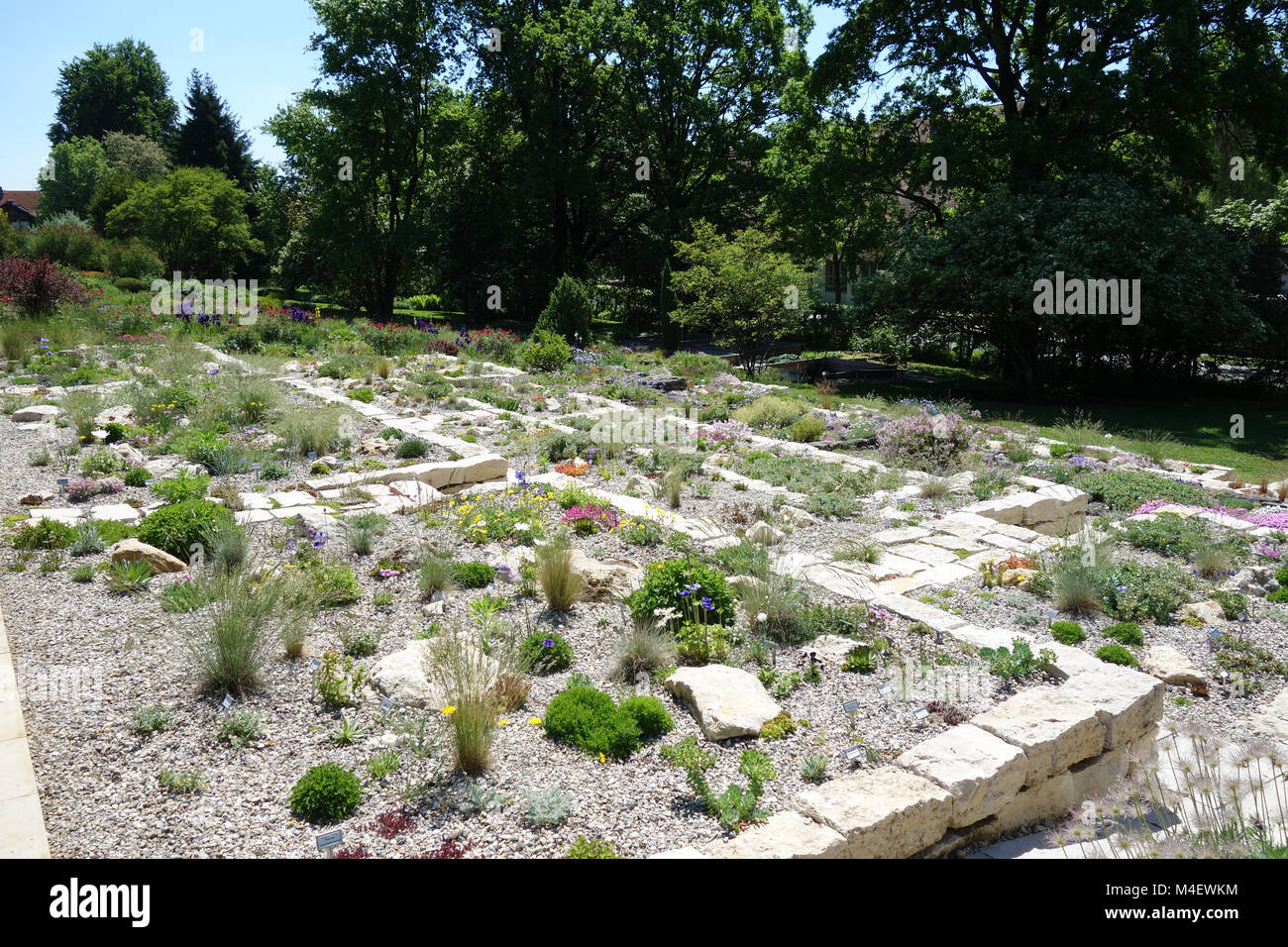 rock garden, drywall Stock Photo