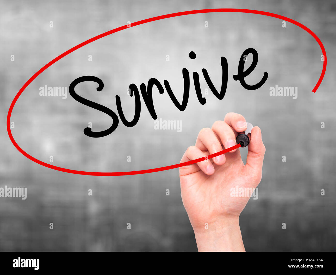 Man Hand writing Survive with black marker on visual screen Stock Photo