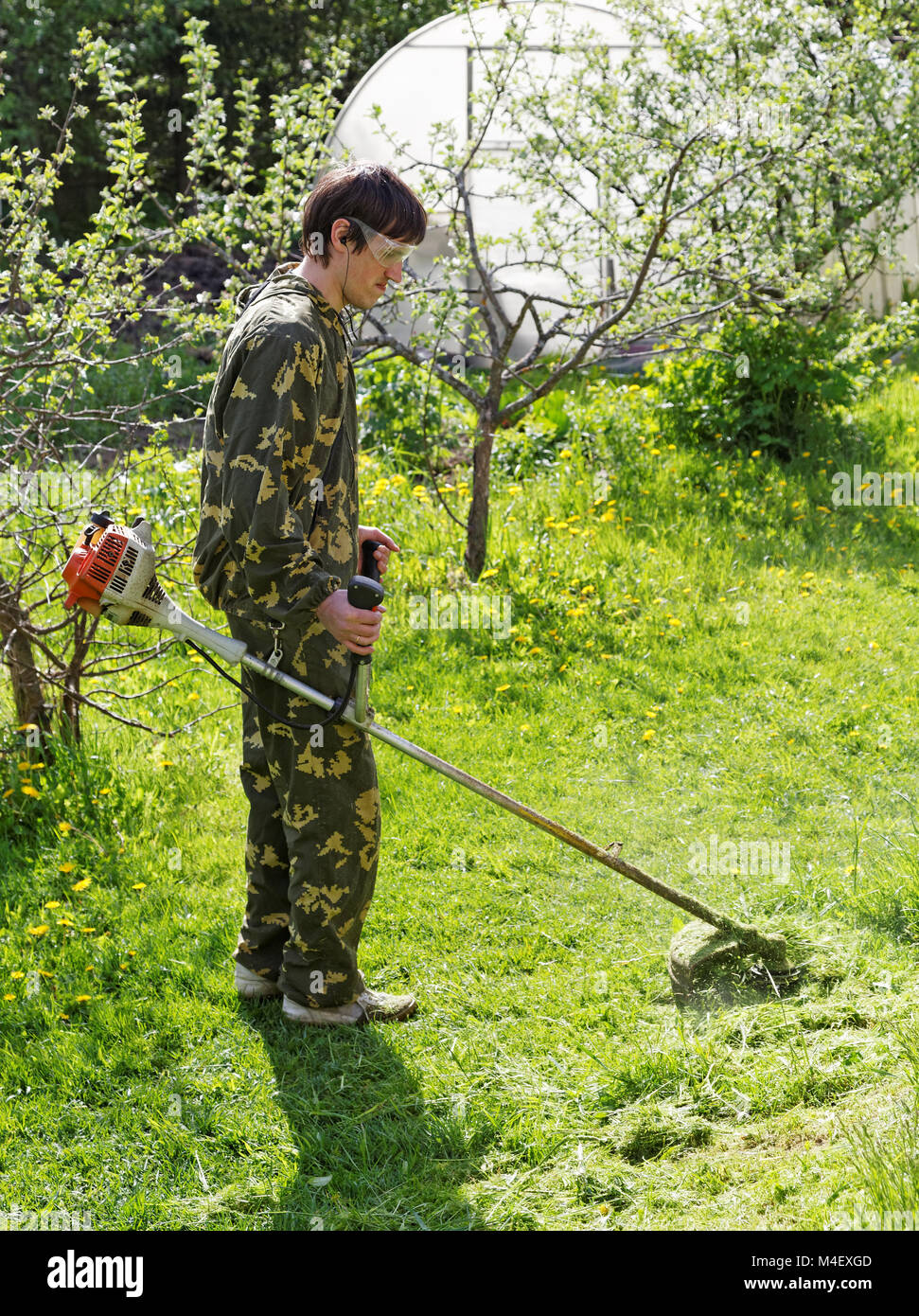 Man mows the grass in his garden Stock Photo