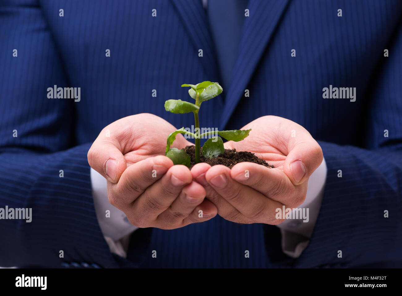 Businessman holding green sprouts isolated on white Stock Photo - Alamy