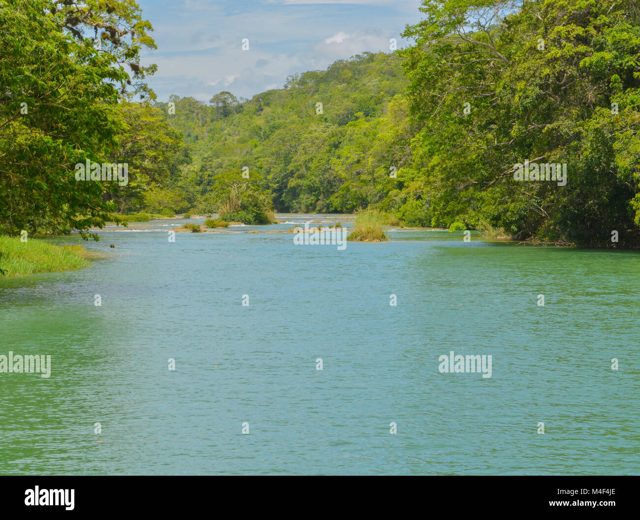 Macal River in San Ignacio, Belize Stock Photo - Alamy