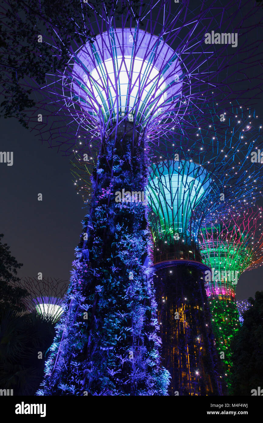 Supertree grove at Gardens by the Bay in Singapore lit up at night ...