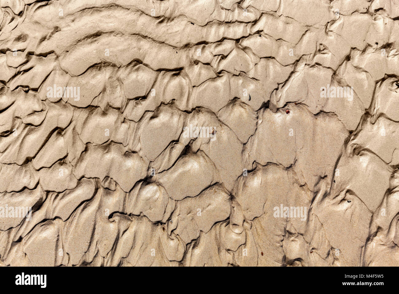 Mud background, dirt, ground pattern. Stock Photo