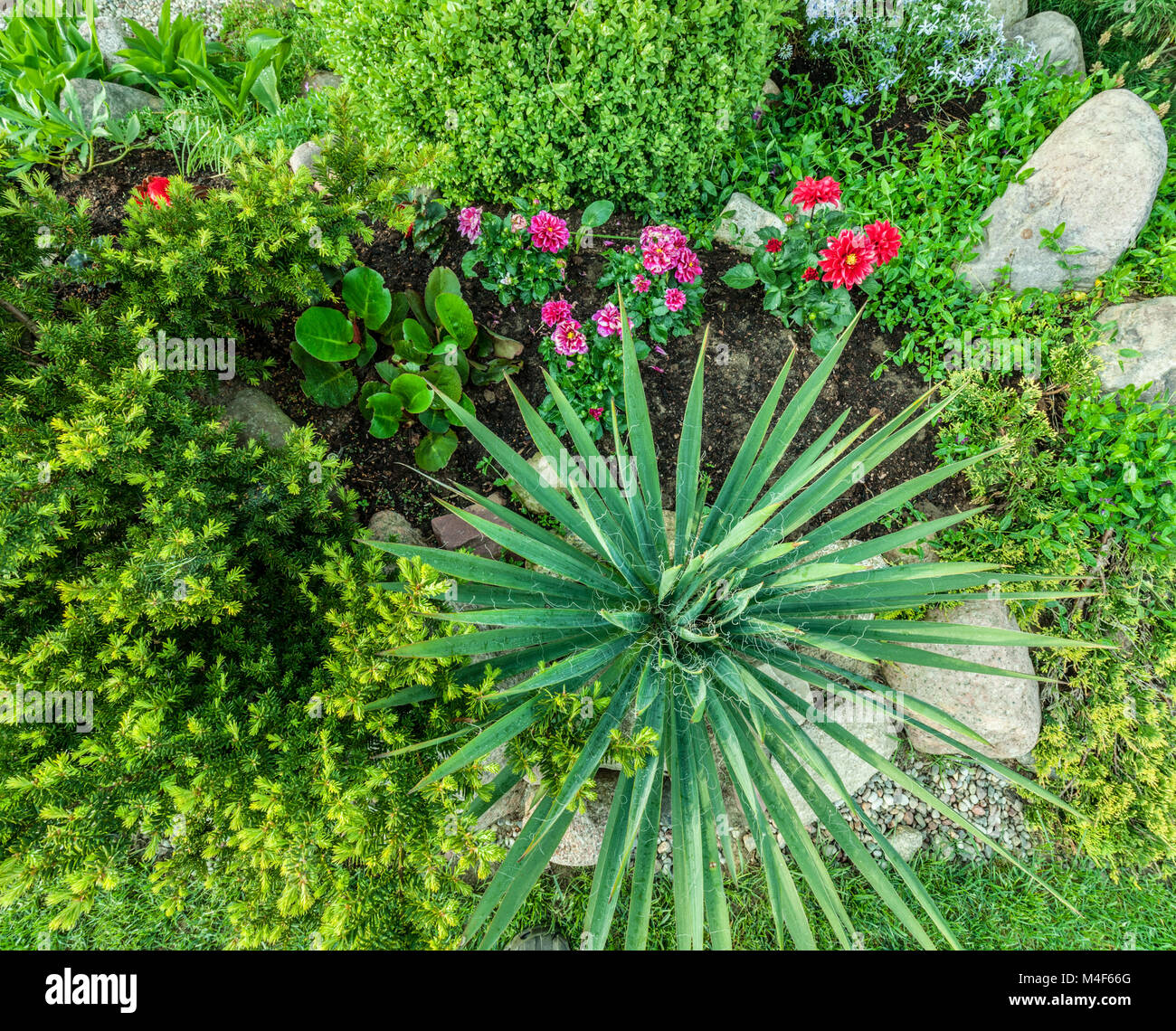 Landscaped summer garden with green plants, rocks, flowers Stock Photo