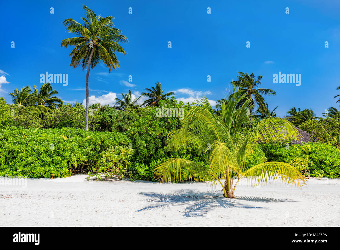 Tropical island with sandy beach in Maldives Stock Photo