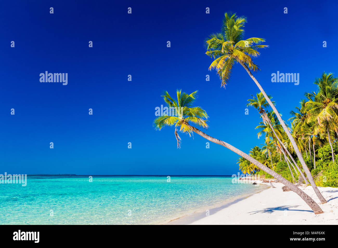 Tropical island with coconut palm trees on sandy beach. Maldives Stock Photo