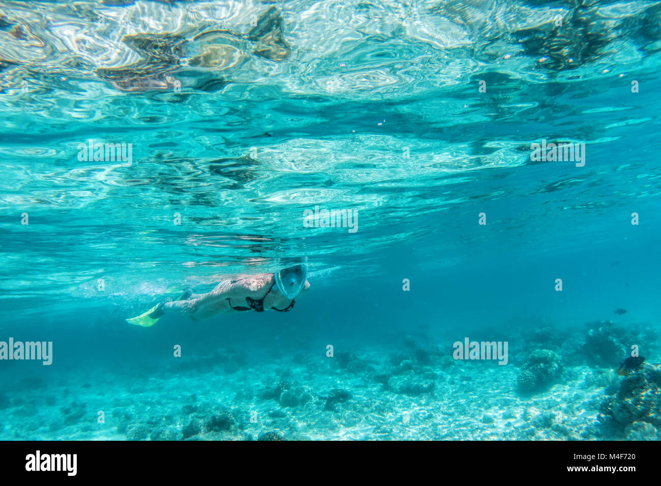 Woman snorkeling underwater in Indian Ocean, Maldives Stock Photo