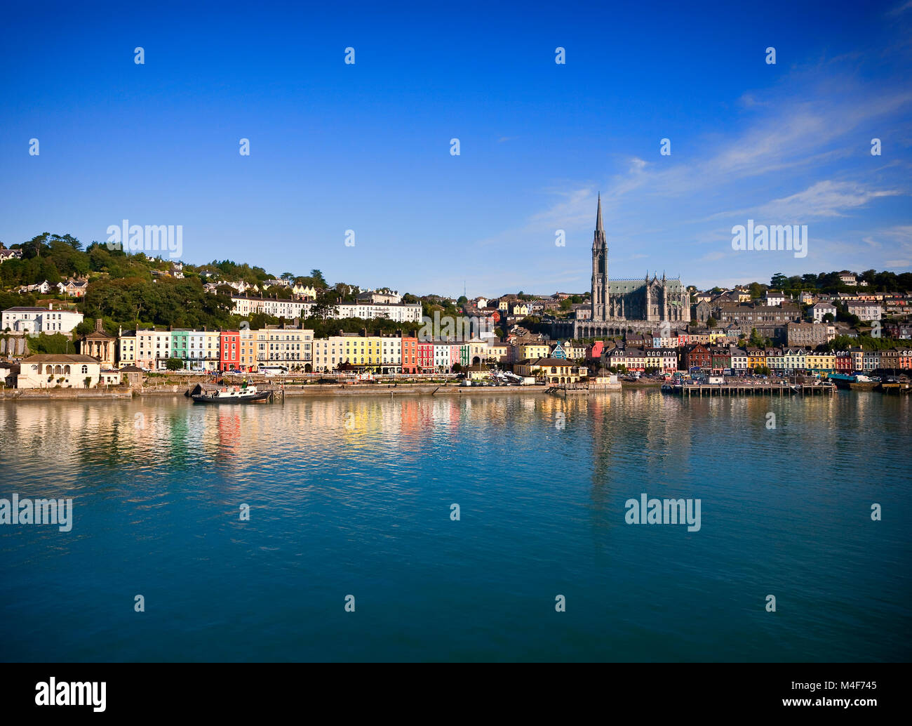 Beneath St Colman's Cathedral, houses frame the immigrant