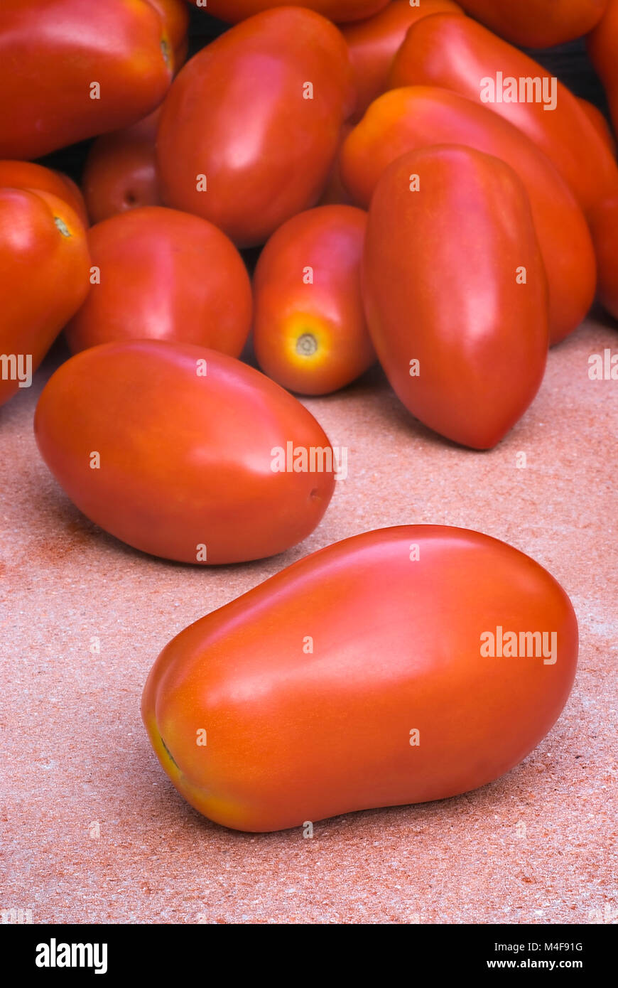 The best varieties of tomatoes. Tomato de baro red The best varieties of tomatoes. Tomato de baro red