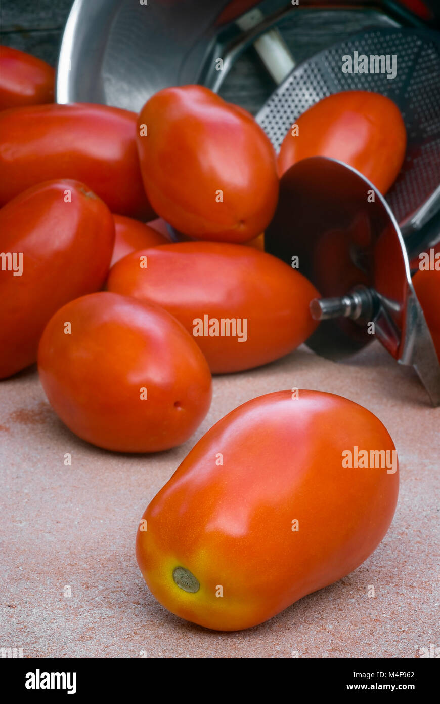 The best varieties of tomatoes. Tomato de baro red The best varieties of tomatoes. Tomato de baro red