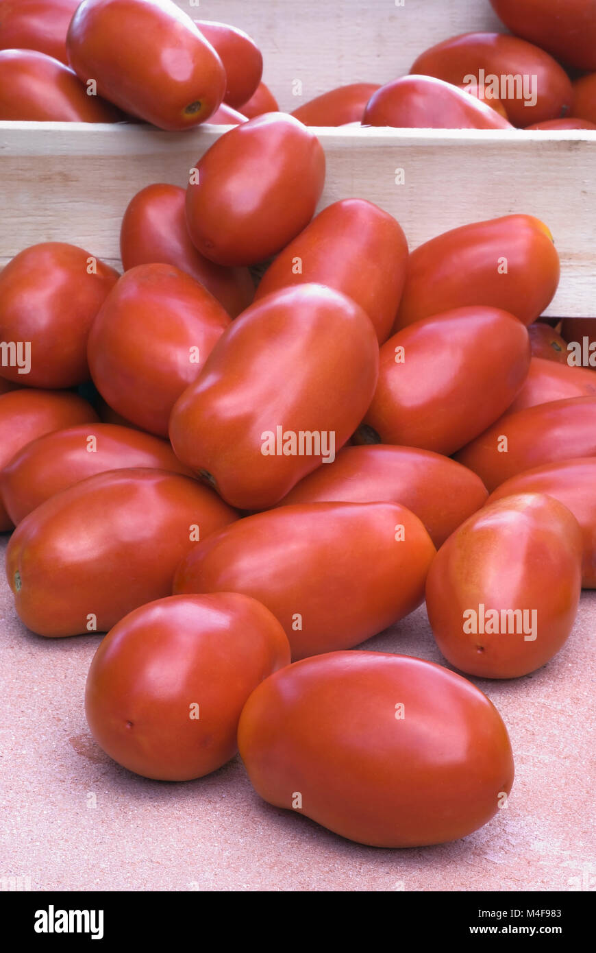 The best varieties of tomatoes. Tomato de baro red The best varieties of tomatoes. Tomato de baro red
