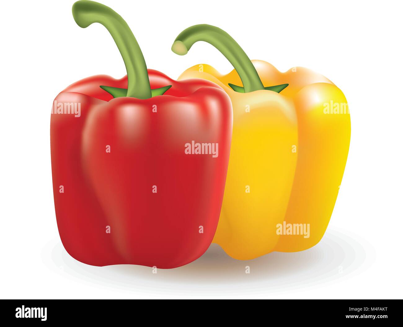 Bell peppers Stock Vector Images Alamy