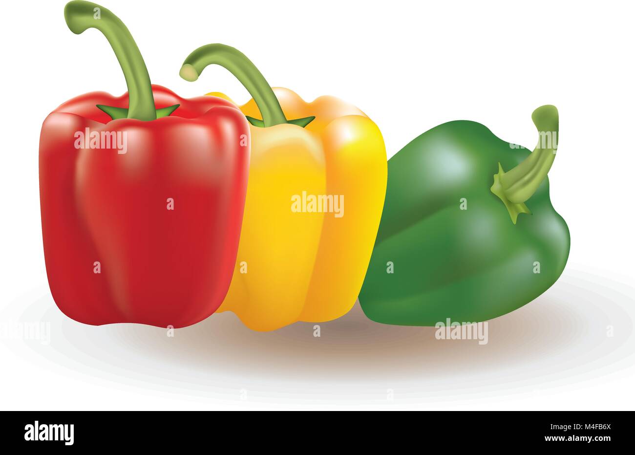 Red, yellow and green bell peppers, vector Stock Vector