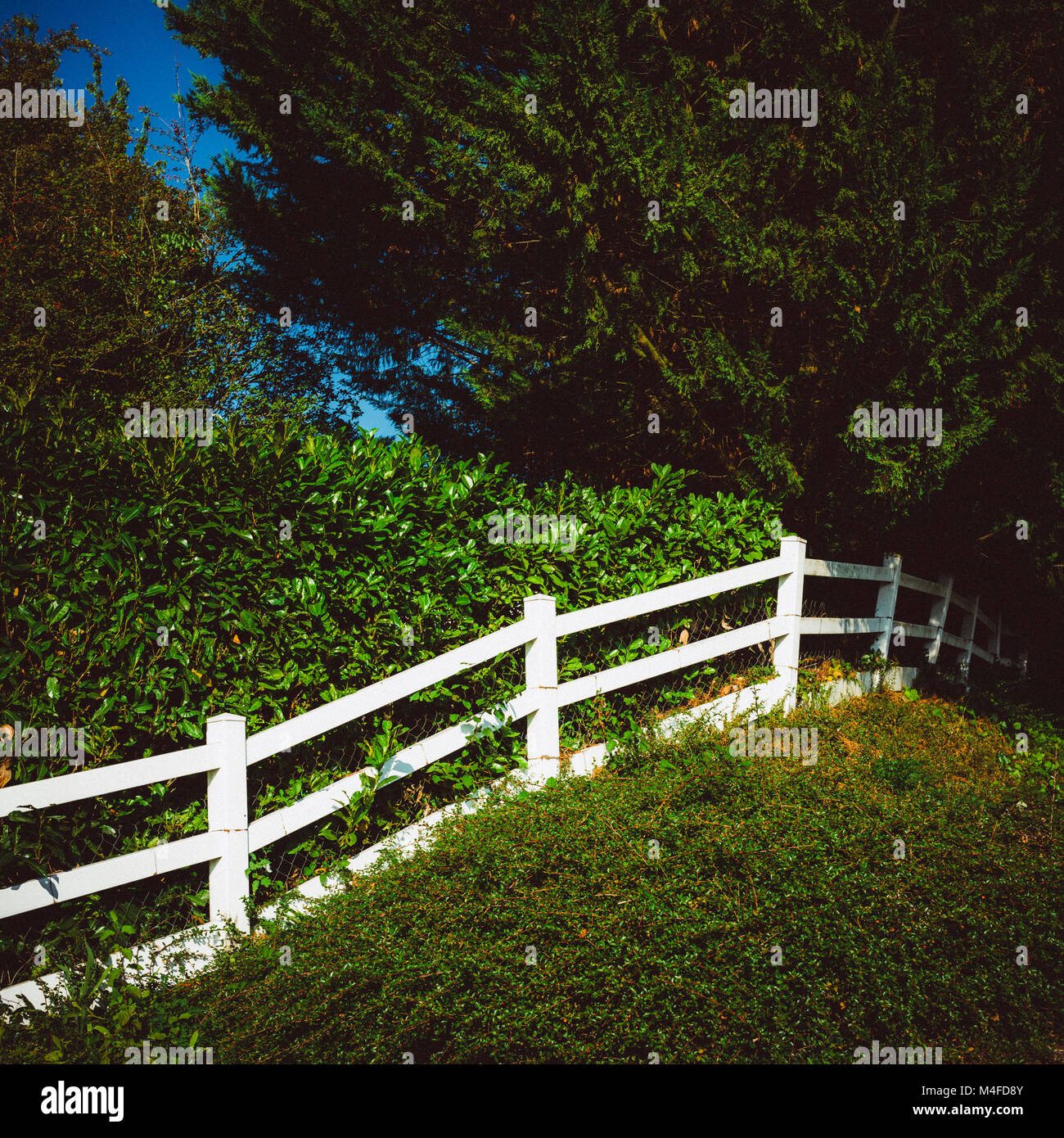 Tree protection fence hi-res stock photography and images - Alamy
