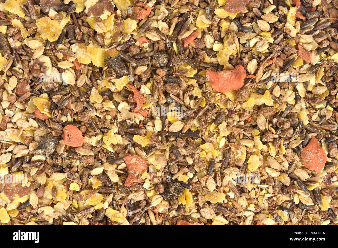 Close up of feed horse digestive Stock Photo Alamy