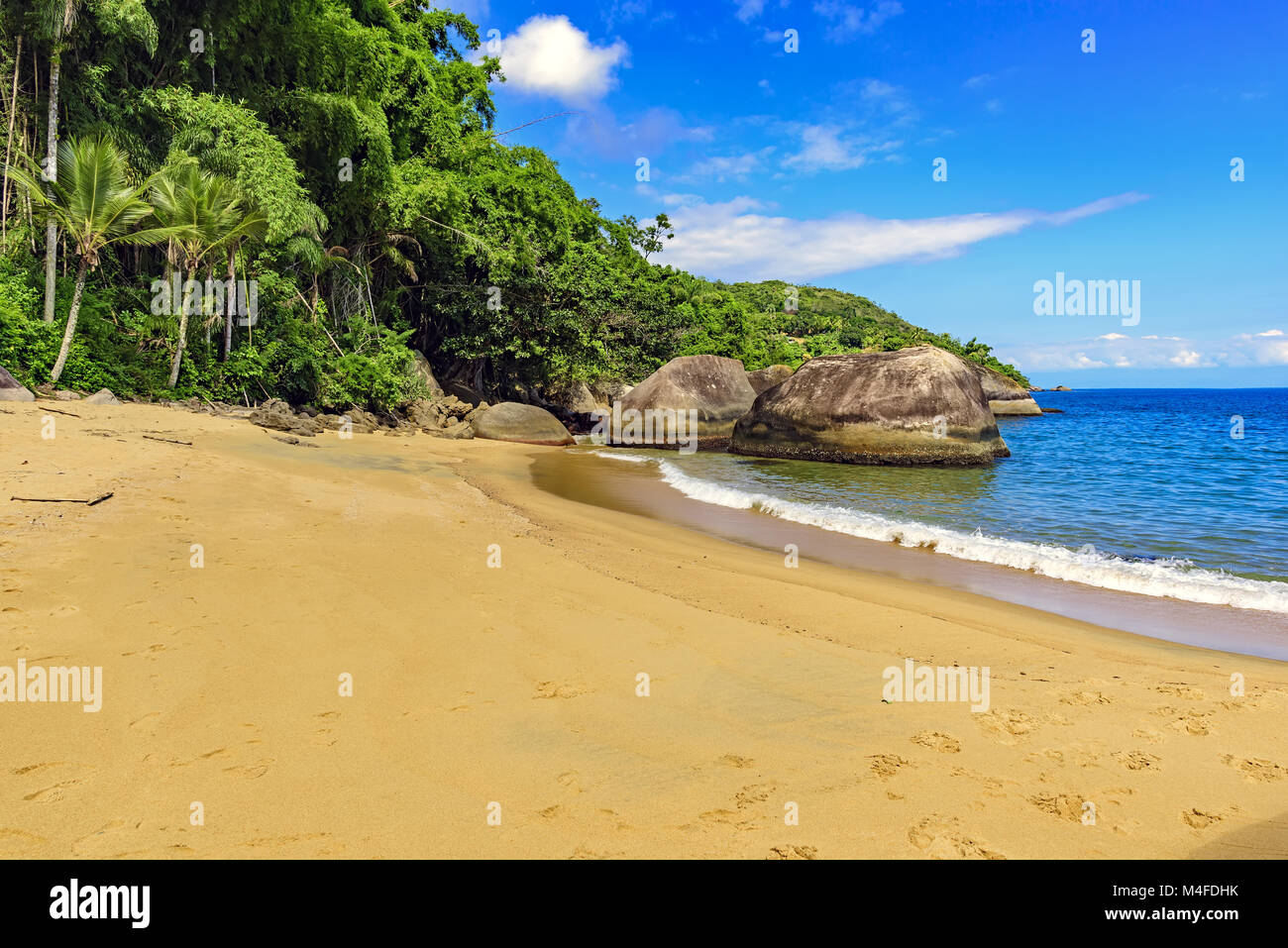 Deserted and unspoilt beach with forest Stock Photo