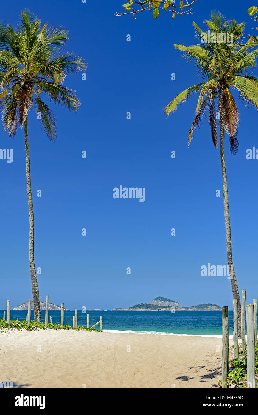 Leblon beach and palms Stock Photo